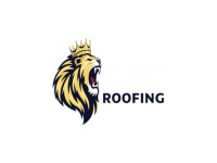 metal roof installation company​