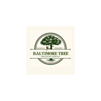 Baltimore Tree Discount Service