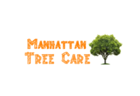 Manhattan Tree Care
