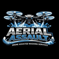 Aerial Assault