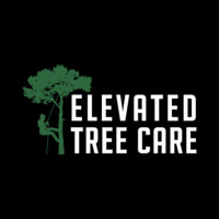 Elevated Tree Care