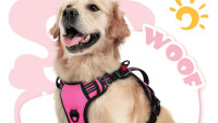 Top-Quality Pet Supplies for Your Furry Friends!
