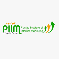 PIIM Website Designing Course in Patiala for Real-World Skills