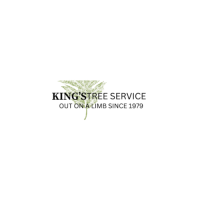 King's Tree Service - Tree Trimming & Removal Service