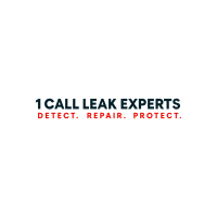 1 Call Leak Expert