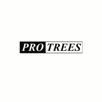 Pro Trees Arborist