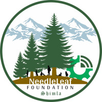 AIoT for Climate Adaptation, Sustainable Conservation, and Public Health – Needleleaf Foundation