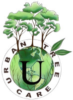 Urban Tree Care