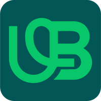 Usama Bajwa SEO Expert
