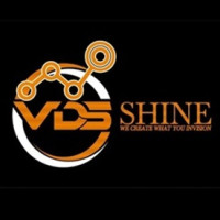 Digital Marketing Agency in India - VDS Shine