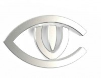 V.I. Consortium LLC