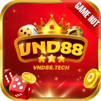 VND88 – Trang cá cược trực tuyến, hàng đầu