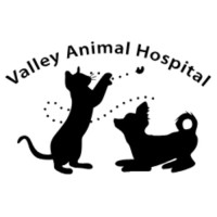Valley Animal Hospital