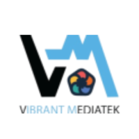 Best Digital Marketing Agency in Delhi - Vibrant Mediatek