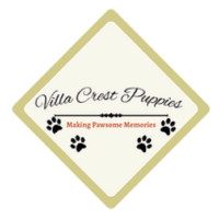 Villa Crest Puppies