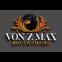Von Z Max Rottweilers