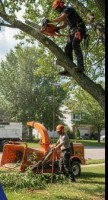 Dietz Tree Services