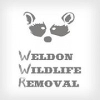 Weldon Wildlife Removal