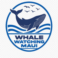 Whale Watching Maui