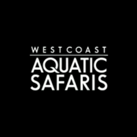 Whale Safaris