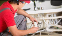 Wills Hill Tree Removal Solutions