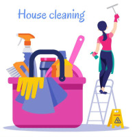 spotlessprocleaners