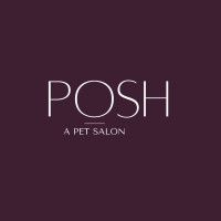 pet grooming in sharjah