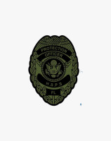 HALL SECURITY PROFESSIONAL SERVICES