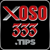 Xoso333: Nhà Cái Kết Quả Xổ Số Nhanh Chóng và Chính Xác