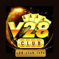 V28