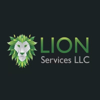 Lion Roofing (Round Rock, TX)
