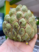 Fresh Tropical Fruits Delivery in the USA