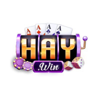 Haywin – Điểm đến cá cược trực tuyến uy tín, an toàn và hấp dẫn
