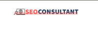 SEO CONSULTANT