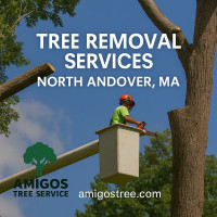 Amigos Landscaping & Tree Removal