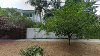 Waterdog Holdings Damage Restoration LLC