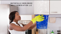 Waterfalls Worldwide Mold Remediation LLC
