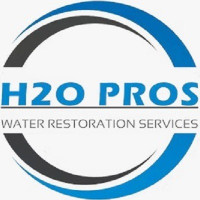 H2O Pros Water Damage Restoration Services LLC