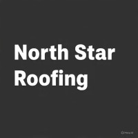 Next Level Roofing
