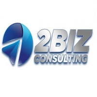 2biz Consulting