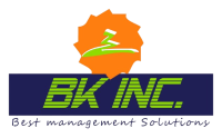 BK INC - Software Company in Jaipur | IT Company in Jaipur