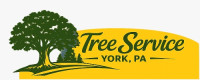 Tree Service York PA