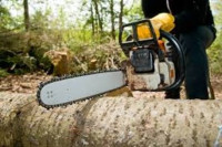 Troy Tree Service Hub