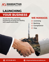 Trusted Business Setup Experts in UAE for Entrepreneurs - Manhattan Management Consultancy