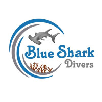 Hurghada Blue Shark Divers