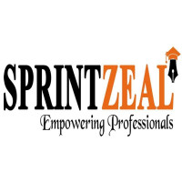 Sprintzeal Americas Inc.