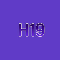 H19