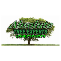 Absolute Tree Experts, Inc.