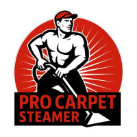 Pro Carpet Steamer