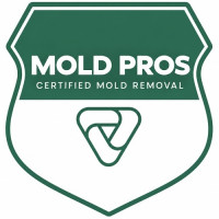Wheeling Mold Remediation Pros